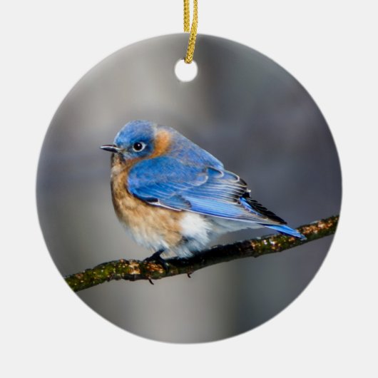 Oosterse Blauwvogel op Limb Kerstversiering Keramisch Ornament (Voorkant)