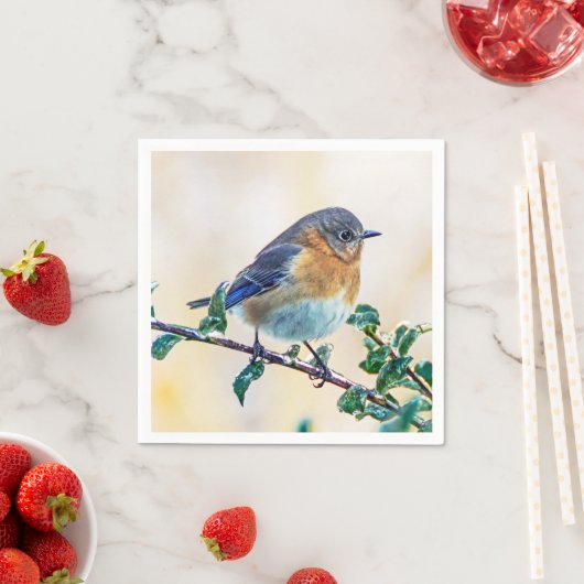 Oosterse Blauwvogel op met ijs bedekt ledemaatpapi Servet (Insitu)