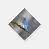 Oosterse Blauwvogel op met ijs bedekt ledemaatpapi Servet (Hoek)