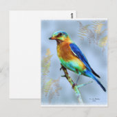 Oosterse Bluebird...Briefkaart Briefkaart (Voorkant / Achterkant)