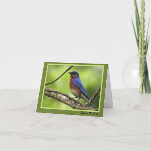 oosterse bluebird-Kaart Kaart (Voorkant)