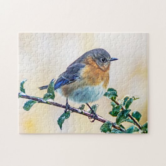Oosterse Bluebird on Ice Covered Limb Puzzle Legpuzzel (Horizontaal)