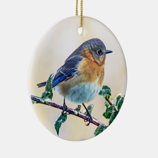 Oosterse Bluebird Ornament (Rechts)