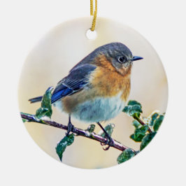 Oosterse Bluebird Ornament