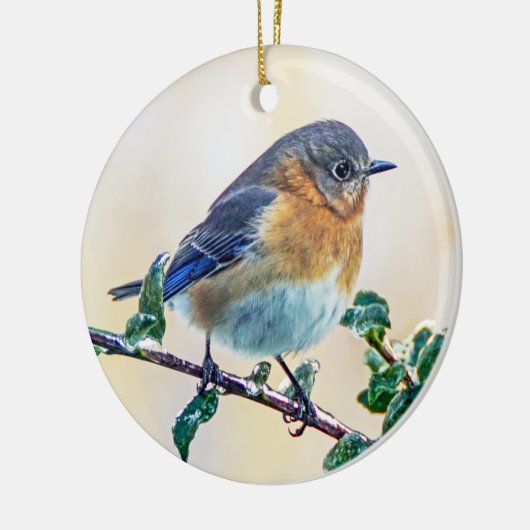 Oosterse Bluebird Ornament (Links)