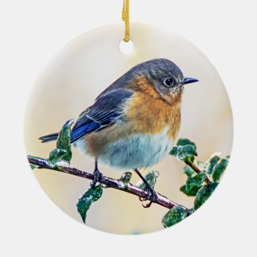 Oosterse Bluebird Ornament (Achterkant)