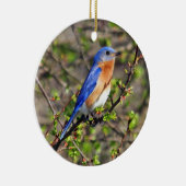 Oosterse Bluebird Ornament (Rechts)