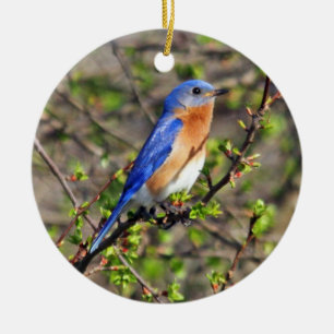 Oosterse Bluebird Ornament