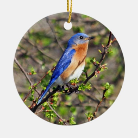 Oosterse Bluebird Ornament (Voorkant)