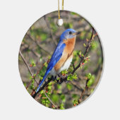 Oosterse Bluebird Ornament (Links)