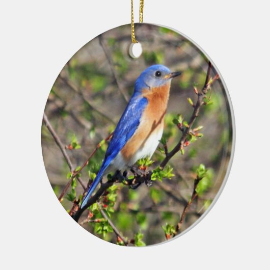 Oosterse Bluebird Ornament (Links)