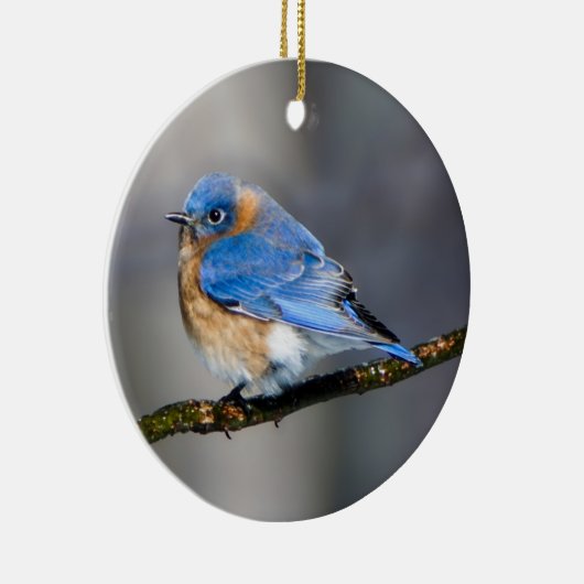 Oosterse Bluebird Ornament (Rechts)
