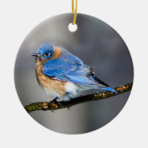 Oosterse Bluebird Ornament