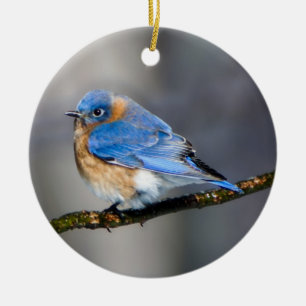 Oosterse Bluebird Ornament