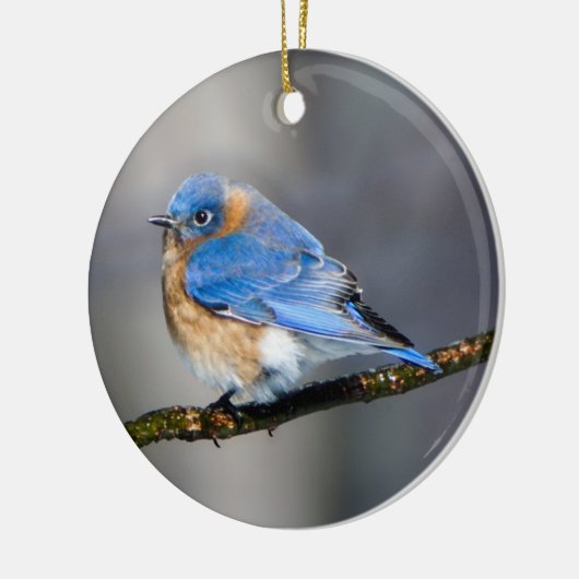 Oosterse Bluebird Ornament (Links)