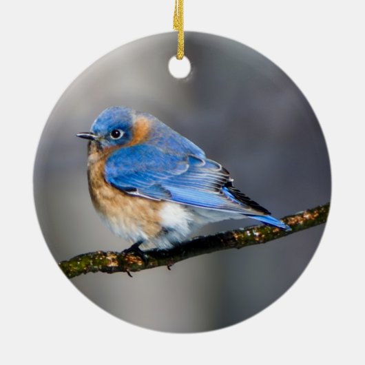 Oosterse Bluebird Ornament (Achterkant)
