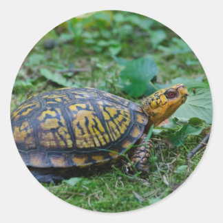 Oosterse box Turtle Ronde Sticker