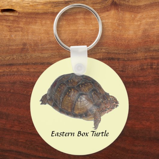 Oosterse box Turtle Sleutelhanger (Voorkant)