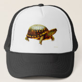 Oosterse boxschildpad trucker pet (Voorkant)