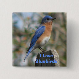 Oosterse Button van Bluebird Male
