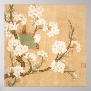 Oosterse Chinese papegaai en perenbloesem Poster