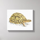 Oosterse doos schildpad canvas afdrukken (Voorkant)