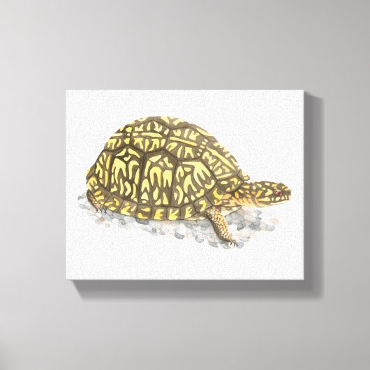 Oosterse doos schildpad canvas afdrukken (Voorkant)