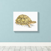 Oosterse doos schildpad canvas afdrukken (Insitu (Houten vloer))