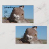 Oosterse franjes visitekaartje (Voorkant / Achterkant)