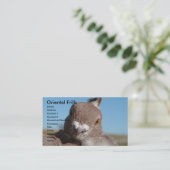 Oosterse franjes visitekaartje (Staand voorkant)