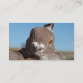 Oosterse franjes visitekaartje (Achterkant)