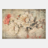 Oosterse Geisha esthetiek Zware gewicht Decoupage Inpakpapier Vel (Voorkant 3)