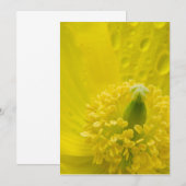 Oosterse gele papaver bedankkaart (Voorkant / Achterkant)