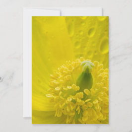 Oosterse gele papaver bedankkaart