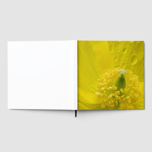 Oosterse gele papaver gastenboek (Volledig)