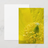 Oosterse gele papaver kaart (Voorkant / Achterkant)