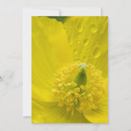 Oosterse gele papaver kaart