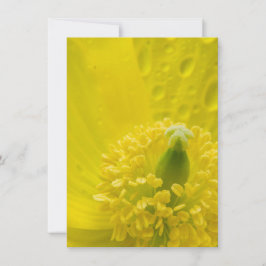 Oosterse gele papaver kaart