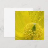 Oosterse gele papaver kaart (Voorkant / Achterkant)