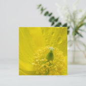 Oosterse gele papaver kaart (Staand voorkant)