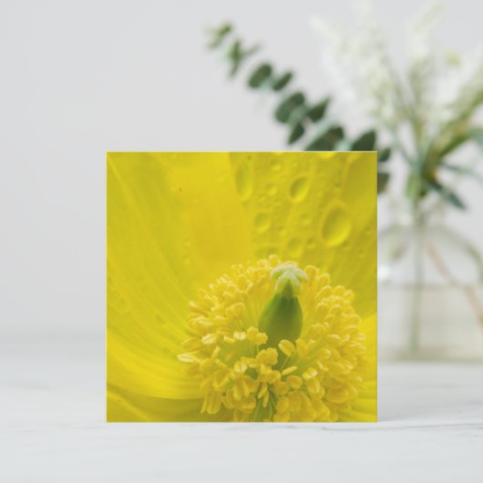 Oosterse gele papaver kaart (Staand voorkant)