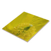 Oosterse gele papaver tegeltje (Zijkant)