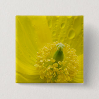 Oosterse gele papaver vierkante button 5,1 cm