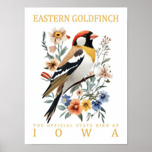 Oosterse goudvink vogel van Iowa USA Reizen Poster