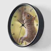 Oosterse grijze eekhoorn die staat te kijken (Hoek)