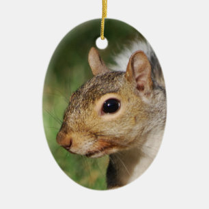 Oosterse grijze eekhoorn keramisch ornament