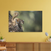 Oosterse grijze eekhoorn of grijze eekhoorn canvas afdruk (Insitu (Woonkamer))