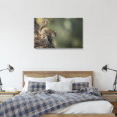 Oosterse grijze eekhoorn of grijze eekhoorn canvas afdruk (Insitu (Slaapkamer))