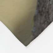 Oosterse grijze eekhoorn of grijze eekhoorn fleece deken (Hoek)