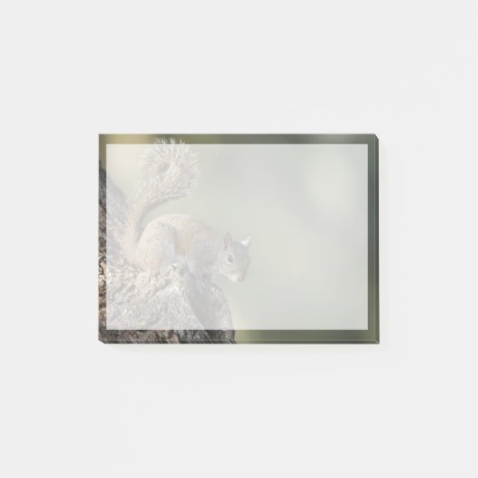 Oosterse grijze eekhoorn of grijze eekhoorn post-it® notes (Voorkant)